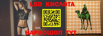 прущие крисы Апшеронск