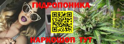 прущие крисы Апшеронск