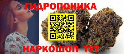 прущие крисы Апшеронск